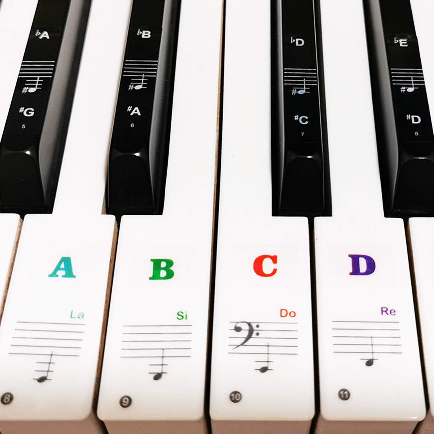 Piano Keyboard Learning Stickers – Multicolor Note Labels + Sheet Music for 37–88 Keys