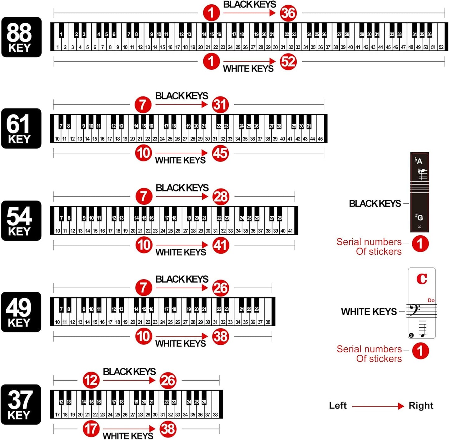 Piano Keyboard Learning Stickers – Multicolor Note Labels + Sheet Music for 37–88 Keys