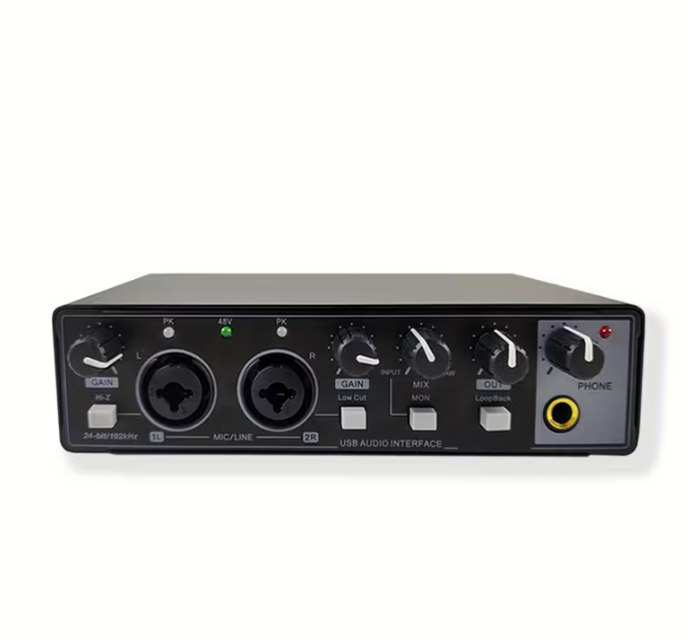 Professional 2-Channel Audio Interface Sound Card - Studio Mixer for Electric Guitar Live Recording, 24Bit/ 192Khz High-Resolution, XLR Interface with 48V Phantom Power Supply